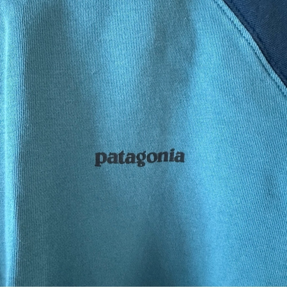 Patagonia P-6 Logo Organic Crew Sweatshirt Color: ABB - Blue and Teal Sweatshirt - Picture 4 of 10